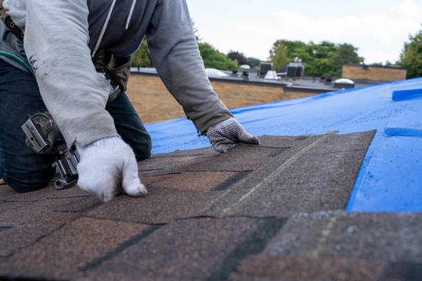 Quick and Trustworthy Emergency Roof Repair Services in Canyon Lake, CA