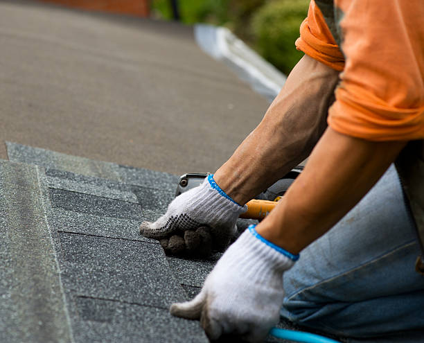 Best Roof Gutter Cleaning  in Nyon Lake, CA